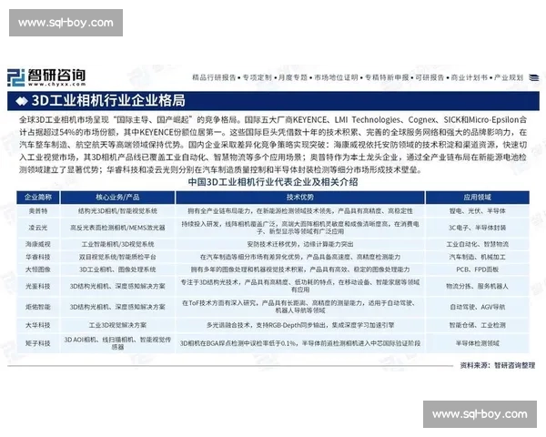 优势明显凸显竞争力发展潜力全面提升企业市场地位