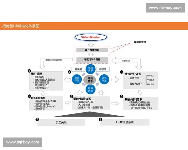 围绕核心阵容构建攻防体系的全新战略与未来走向解析全面升级深度思考